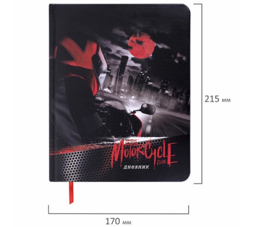 Дневник 1-11 класс 48 л., кожзам (твердая с поролоном), печать, наклейки, BRAUBERG, 