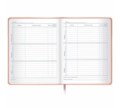 Дневник 1-11 класс 48 л., кожзам (твердая с поролоном), тиснение, аппликация, BRAUBERG, 