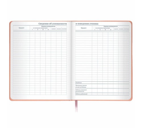 Дневник 1-11 класс 48 л., кожзам (твердая с поролоном), тиснение, аппликация, BRAUBERG, 