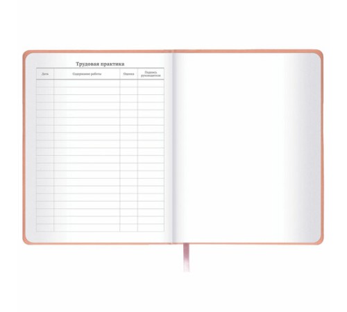 Дневник 1-11 класс 48 л., кожзам (твердая с поролоном), тиснение, аппликация, BRAUBERG, 