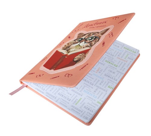 Дневник 1-11 класс 48 л., кожзам (твердая с поролоном), тиснение, аппликация, BRAUBERG, 