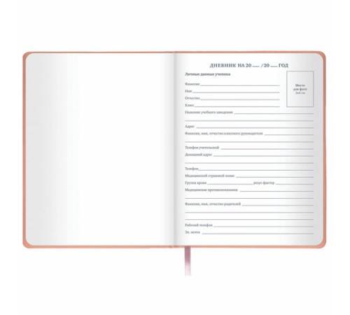 Дневник 1-11 класс 48 л., кожзам (твердая с поролоном), тиснение, аппликация, BRAUBERG, 