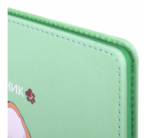 Дневник 1-4 класс 48 л., кожзам (твердая), застежка, ЮНЛАНДИЯ, 