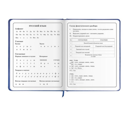 Дневник 1-4 класс 48 л., кожзам (твердая с поролоном), печать, аппликация, ЮНЛАНДИЯ, 