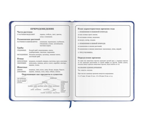 Дневник 1-4 класс 48 л., кожзам (твердая с поролоном), печать, аппликация, ЮНЛАНДИЯ, 