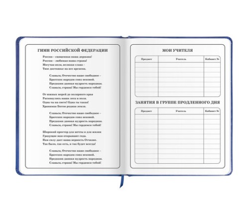 Дневник 1-4 класс 48 л., кожзам (твердая с поролоном), печать, аппликация, ЮНЛАНДИЯ, 