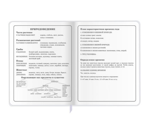 Дневник 1-4 класс 48 л., кожзам (гибкая), печать, фольга, ЮНЛАНДИЯ, 