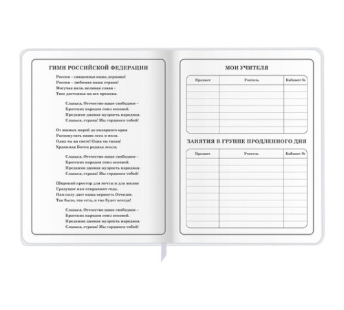 Дневник 1-4 класс 48 л., кожзам (гибкая), печать, фольга, ЮНЛАНДИЯ, 