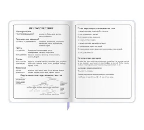 Дневник 1-4 класс 48 л., кожзам (гибкая), печать, фольга, ЮНЛАНДИЯ, 