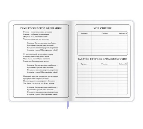 Дневник 1-4 класс 48 л., кожзам (гибкая), печать, фольга, ЮНЛАНДИЯ, 