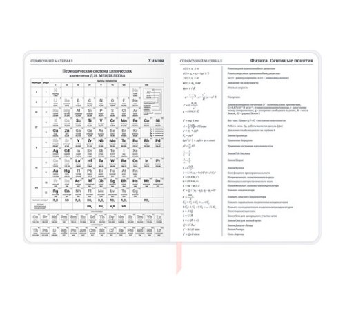 Дневник 1-11 класс 48 л., кожзам (гибкая), термотиснение, фольга, BRAUBERG, 