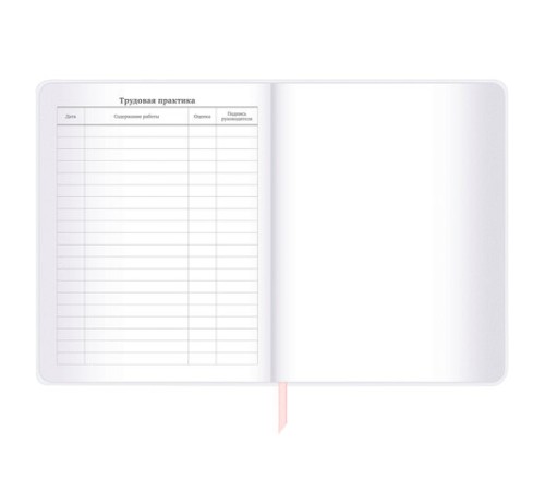 Дневник 1-11 класс 48 л., кожзам (гибкая), термотиснение, фольга, BRAUBERG, 