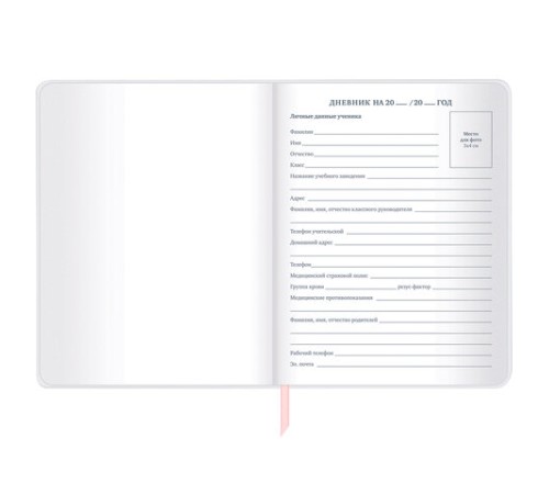 Дневник 1-11 класс 48 л., кожзам (гибкая), термотиснение, фольга, BRAUBERG, 