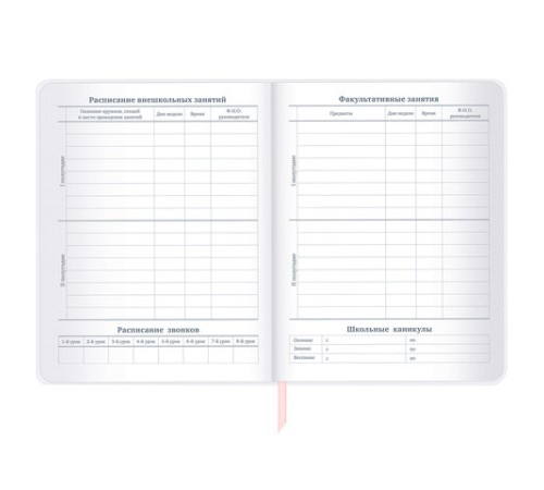 Дневник 1-11 класс 48 л., кожзам (гибкая), термотиснение, фольга, BRAUBERG, 