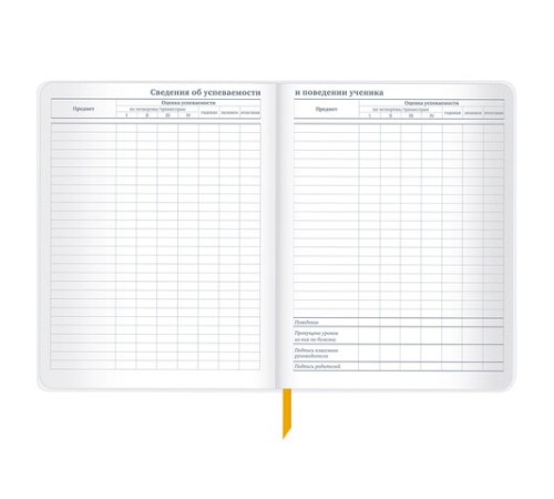 Дневник 1-11 класс 48 л., кожзам (гибкая), печать, фольга, BRAUBERG, 