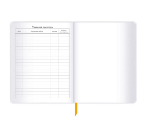 Дневник 1-11 класс 48 л., кожзам (гибкая), печать, фольга, BRAUBERG, 