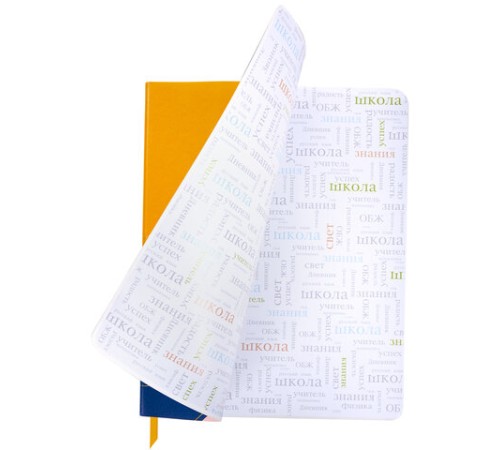 Дневник 1-11 класс 48 л., кожзам (гибкая), печать, фольга, BRAUBERG, 