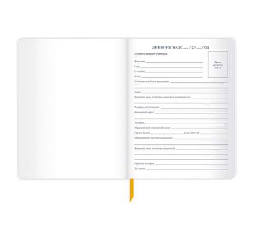 Дневник 1-11 класс 48 л., кожзам (гибкая), печать, фольга, BRAUBERG, 