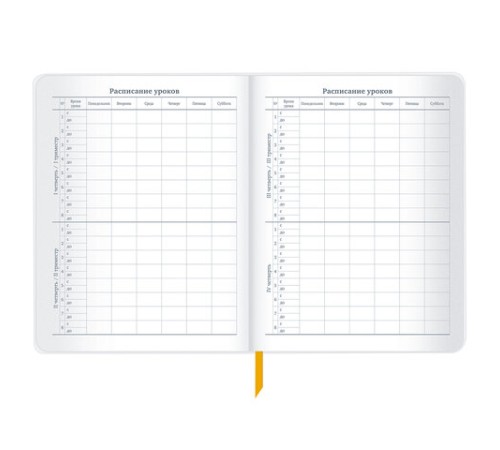 Дневник 1-11 класс 48 л., кожзам (гибкая), печать, фольга, BRAUBERG, 