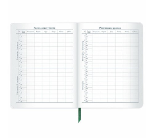 Дневник 1-11 класс 48 л., кожзам (гибкая), печать, фольга, BRAUBERG, 