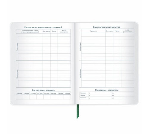 Дневник 1-11 класс 48 л., кожзам (гибкая), печать, фольга, BRAUBERG, 