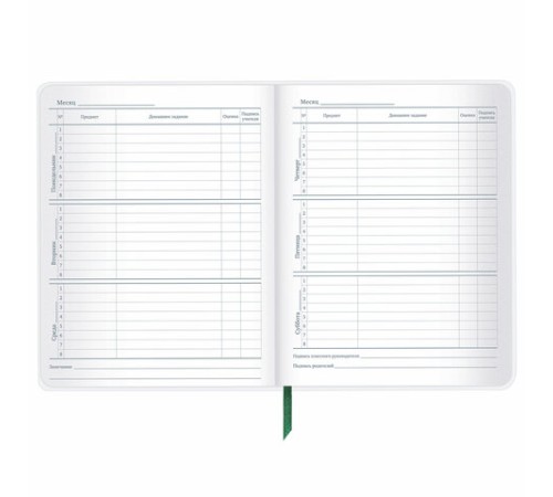 Дневник 1-11 класс 48 л., кожзам (гибкая), печать, фольга, BRAUBERG, 