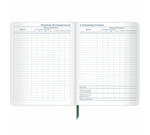 Дневник 1-11 класс 48 л., кожзам (гибкая), печать, фольга, BRAUBERG, 