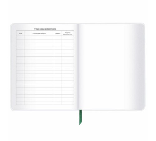 Дневник 1-11 класс 48 л., кожзам (гибкая), печать, фольга, BRAUBERG, 