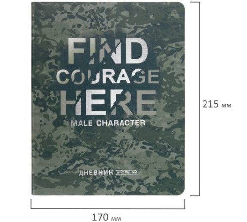 Дневник 1-11 класс 48 л., кожзам (гибкая), печать, фольга, BRAUBERG, 