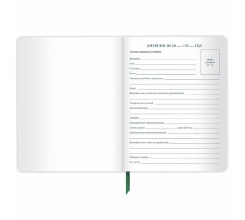 Дневник 1-11 класс 48 л., кожзам (гибкая), печать, фольга, BRAUBERG, 