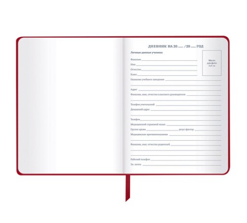 Дневник 1-11 класс 48 л., кожзам (твердая), шелкография, BRAUBERG, 