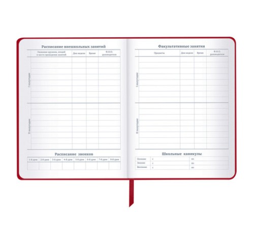 Дневник 1-11 класс 48 л., кожзам (твердая), шелкография, BRAUBERG, 