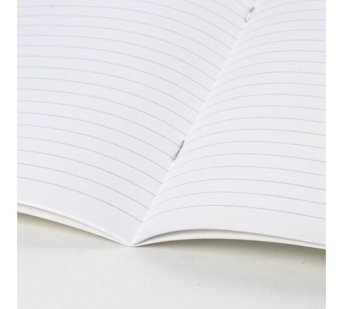 Тетрадь ЗЕЛЁНАЯ обложка, 12 л., линия с полями, офсет, ПЗБМ, 19988