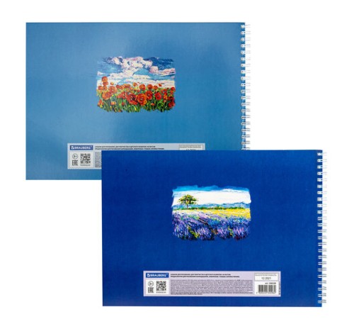 Альбом для рисования, А4, 48 л., гребень, обложка картон, BRAUBERG, 205х290 мм, 