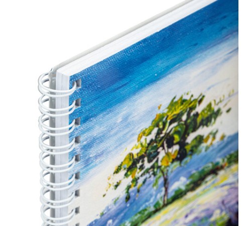 Альбом для рисования, А4, 48 л., гребень, обложка картон, BRAUBERG, 205х290 мм, 