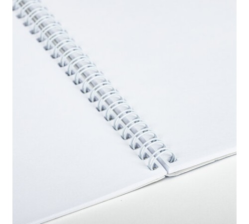 Альбом для рисования, А4, 48 л., гребень, обложка картон, BRAUBERG, 205х290 мм, 