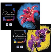 Альбом для рисования А4 40 л., склейка, обложка картон, подложка, BRAUBERG, 205х290 мм, 