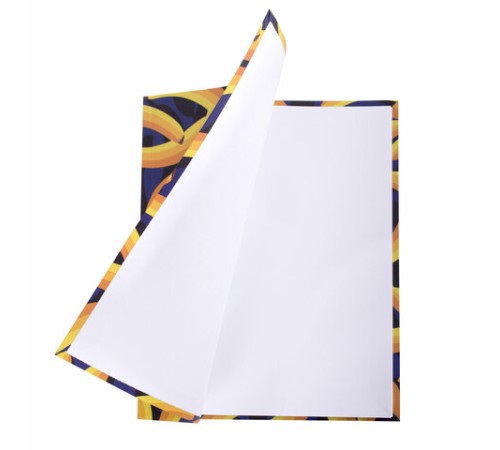 Дневник 1-4 класс 48 л., гибкая обложка, ЮНЛАНДИЯ, выборочный лак, с подсказом, 