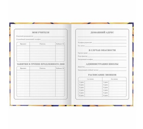 Дневник 1-4 класс 48 л., гибкая обложка, ЮНЛАНДИЯ, выборочный лак, с подсказом, 