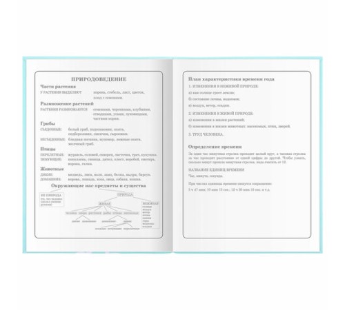 Дневник 1-4 класс 48 л., гибкая обложка, ЮНЛАНДИЯ, выборочный лак, с подсказом, 