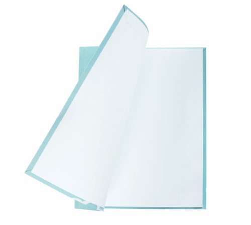 Дневник 1-4 класс 48 л., гибкая обложка, ЮНЛАНДИЯ, выборочный лак, с подсказом, 