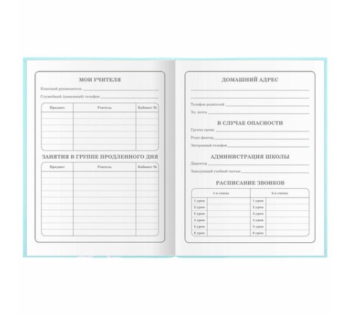 Дневник 1-4 класс 48 л., гибкая обложка, ЮНЛАНДИЯ, выборочный лак, с подсказом, 