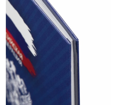 Дневник 1-11 класс 40 л., твердый, BRAUBERG, глянцевая ламинация, 