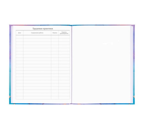 Дневник 5-11 класс 48 л., гибкая обложка, BRAUBERG, глянцевая ламинация, с подсказом, 