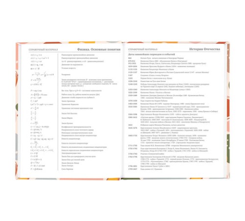 Дневник 5-11 класс 48 л., твердый, BRAUBERG, глянцевая ламинация, с подсказом, 