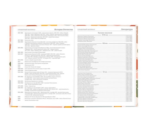 Дневник 5-11 класс 48 л., твердый, BRAUBERG, глянцевая ламинация, с подсказом, 