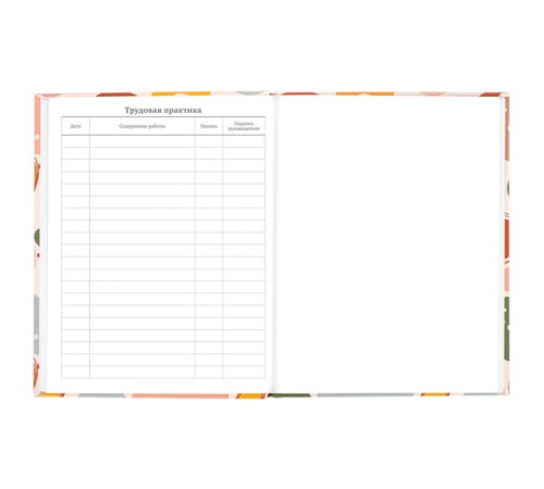 Дневник 5-11 класс 48 л., твердый, BRAUBERG, глянцевая ламинация, с подсказом, 