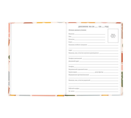 Дневник 5-11 класс 48 л., твердый, BRAUBERG, глянцевая ламинация, с подсказом, 