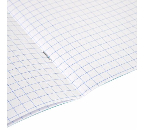 Тетрадь ЗЕЛЁНАЯ обложка 12 л., крупная клетка с полями, офсет, 