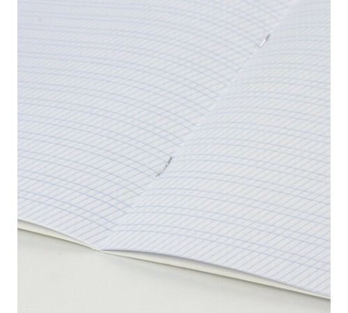 Тетрадь ЗЕЛЁНАЯ обложка 12 л., частая косая линия с полями, офсет, 